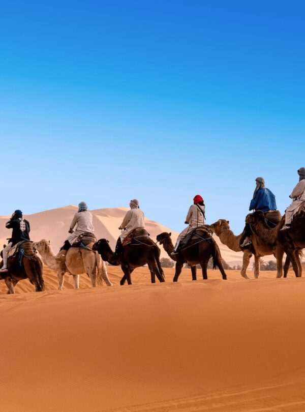 Camel trek in the Sahara Desert during a Morocco tour