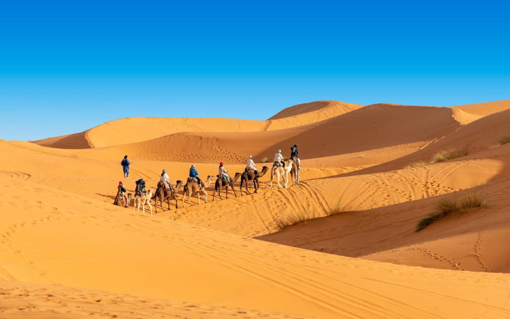 Camel trekking tour in the Sahara Desert Morocco with travelers crossing golden sand dunes