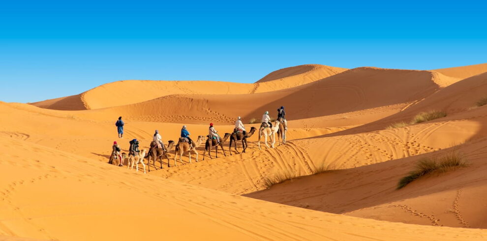 Camel trekking tour in the Sahara Desert Morocco with travelers crossing golden sand dunes