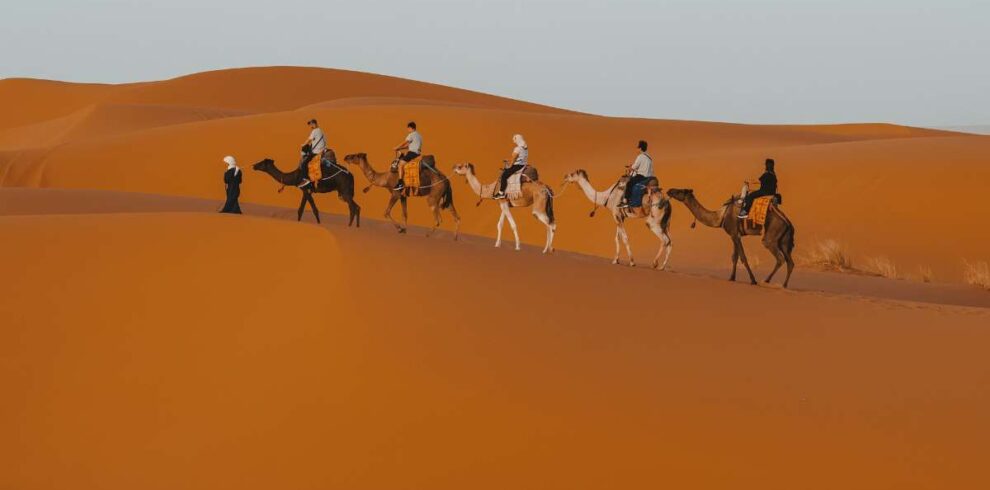 Tourists riding camels across the golden sand dunes of Merzouga Sahara desert Morocco