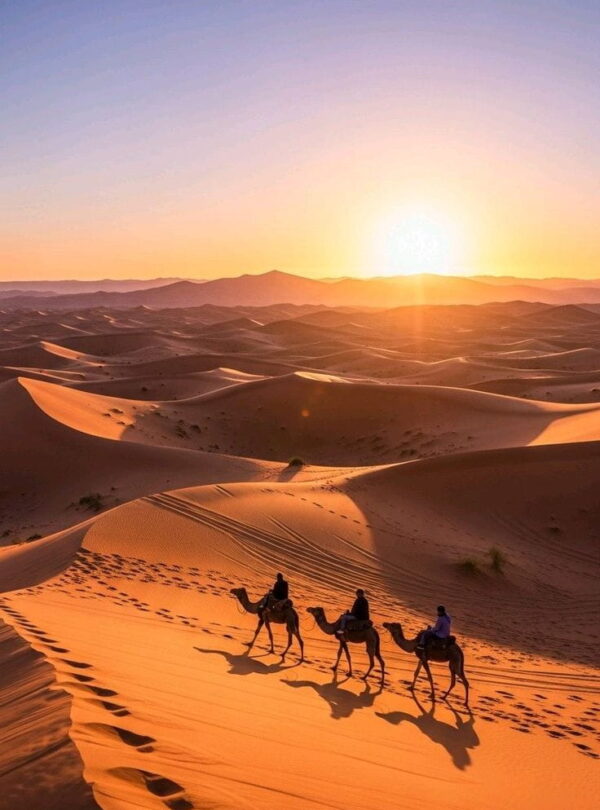 Camel caravan crossing golden dunes at sunrise during a private Sahara Desert tour from Tangier to Merzouga.