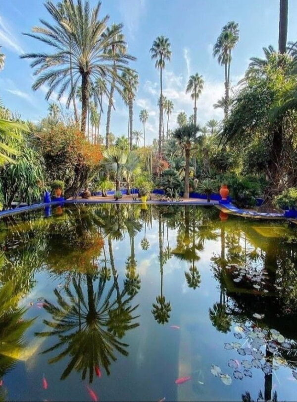 Peaceful garden pool surrounded by palm trees in Marrakech, a relaxing stop during a Morocco private tour.
