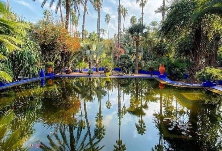 Peaceful garden pool surrounded by palm trees in Marrakech, a relaxing stop during a Morocco private tour.