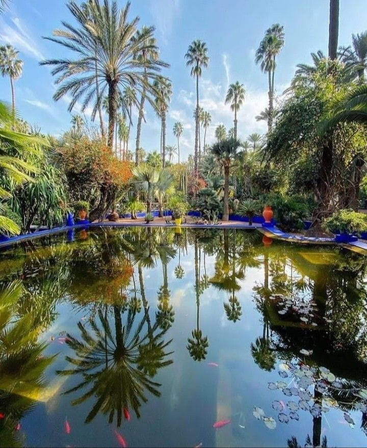 Peaceful garden pool surrounded by palm trees in Marrakech, a relaxing stop during a Morocco private tour.