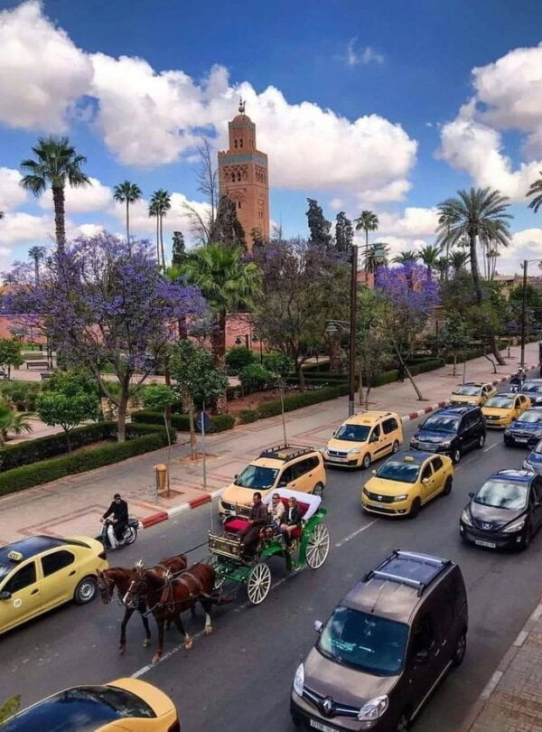 Traditional horse carriage passing near Koutoubia Mosque in Marrakech during a cultural Morocco travel itinerary.