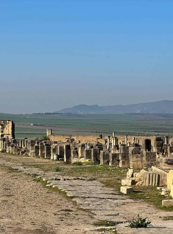 Ancient Roman ruins of Volubilis near Meknes, Morocco, a popular historical day trip from Fes.